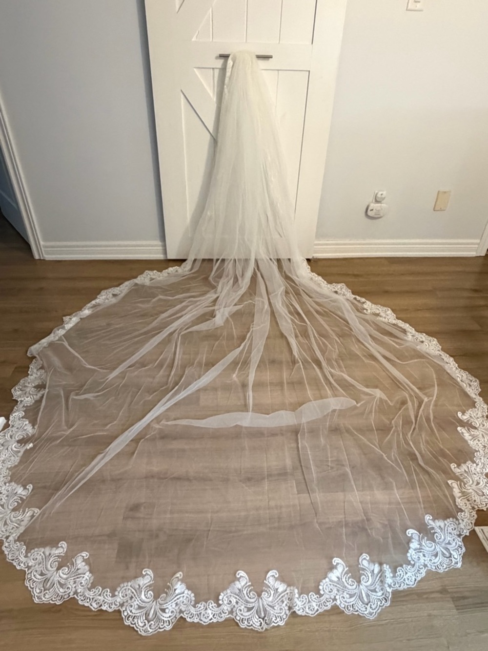 Long Bridal Veil with Lace Scalloped Edge